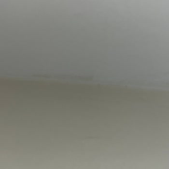 TOKİ Ve Site Yönetimi Su Kaçağı Ve Rutubet Sorununu Ciddiye Almadı