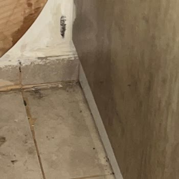 TOKİ Ve Site Yönetimi Su Kaçağı Ve Rutubet Sorununu Ciddiye Almadı