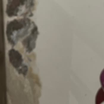 TOKİ Ve Site Yönetimi Su Kaçağı Ve Rutubet Sorununu Ciddiye Almadı