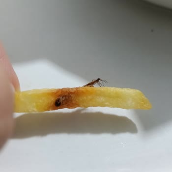 Donmuş Patates Kızartmasında Böcek Bulunması Ve Çocuk Sağlığına Tehdit