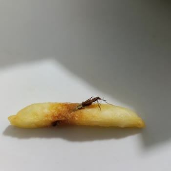 Eki aç