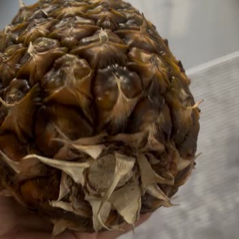 Müşteri Bozuk Ananas Ücret İadesi Bekliyor