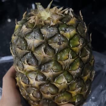 Müşteri Bozuk Ananas Ücret İadesi Bekliyor