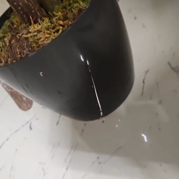 Hasarlı Ve Kalitesiz Yapay Ağaçlar, İade Talebi
