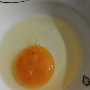 Türe Yumurta’da Kötü Koku, Bozuk Ve Kanlı Yumurta Şikayeti