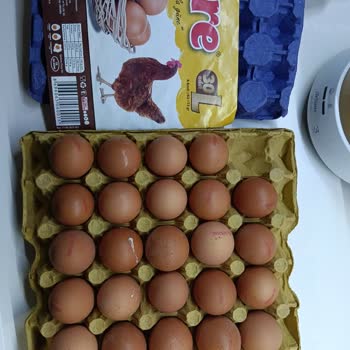Türe Yumurta’da Kötü Koku, Bozuk Ve Kanlı Yumurta Şikayeti