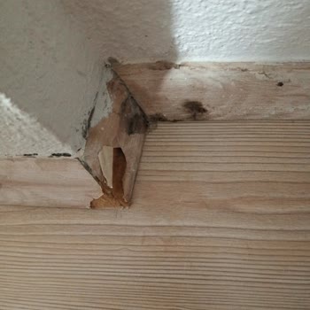 SEG Klimasının Su Sızıntısı Nedeniyle Laminat Parkede Hasar Ve Onarım Talebi