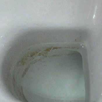 Enka Temizlik Gaziantep Aldıkları Paranın Hakkını Vermediler Ev Temizlenmedi