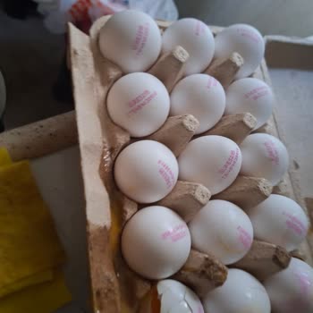 Kırık Yumurta Teslimatı Ve Kuryenin Kaba Davranışı