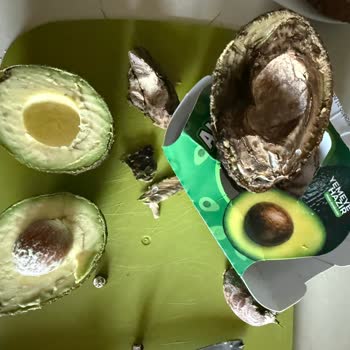 Migros Ataköy Şubesinde Bozuk Yemeye Hazır Avokado Şikayeti