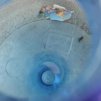 Satın Alınan Akdağ Su Damacanasında Yabancı Parçacıklar Ve Siyah Tortular Tespit Edildi