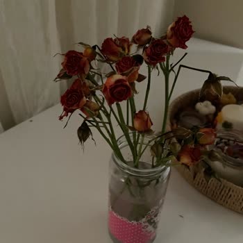 Sipariş Verdiğim Çiçekler İki Günde Kurudu, Çiçek Sepeti Güvenimi Sarsıyor
