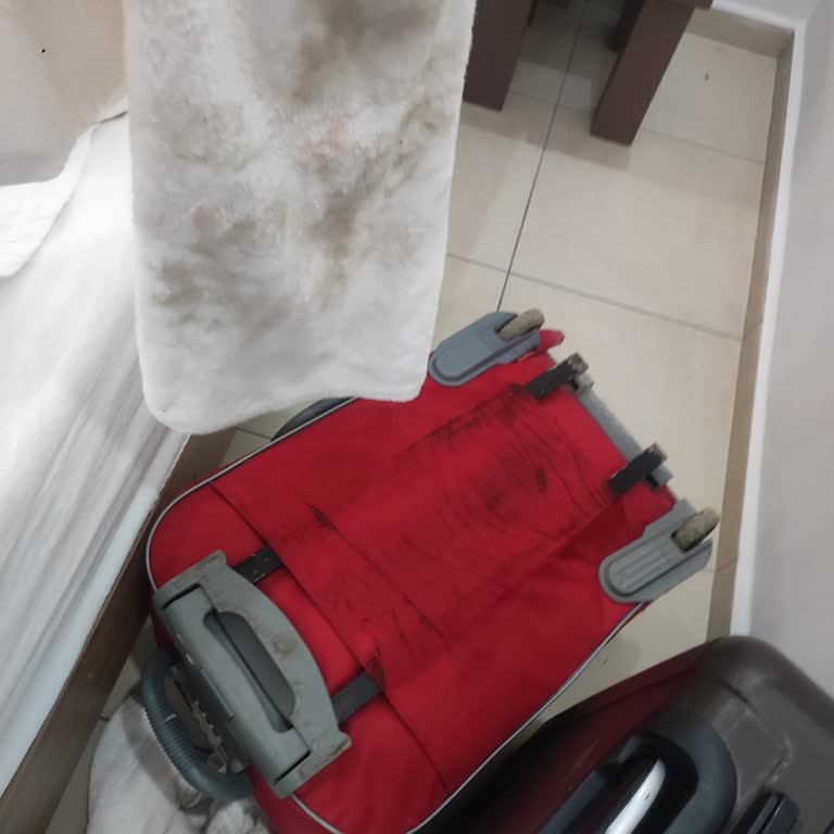 Ek 720 TL Ücretle Yük Gemisine Aktarılıp Kirli Bagajlar Ve Saygısız Personel