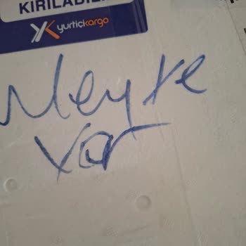 Tazemor.com Soğuk Zincir İhmali Şikayetim