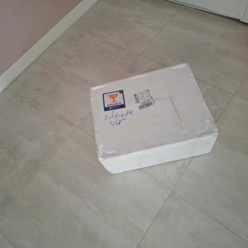 Tazemor.com Soğuk Zincir İhmali Şikayetim