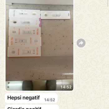 Pet Bakım Hizmetindeki Sorumluluk İhlali Ve Kedimin Ölümü Nedeniyle Masrafların İadesi