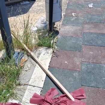 TOKİ Ve Belediye İhmali: Parklar Ve Ortak Alanlar Kirli Ve Bakımsız