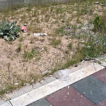 TOKİ Ve Belediye İhmali: Parklar Ve Ortak Alanlar Kirli Ve Bakımsız