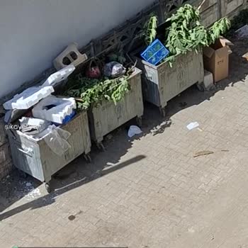 Arifiye Belediyesi Çöp Sorunu