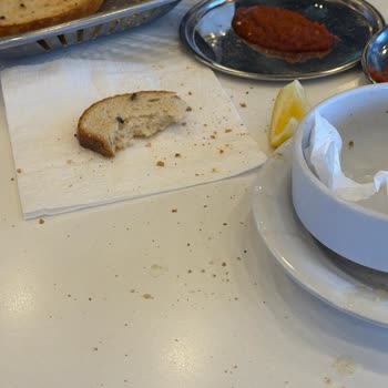 Dere Kaynaklı Sinek Sorunu Kırıkkale Yolu Shell Şubesinde Hijyen İhlali