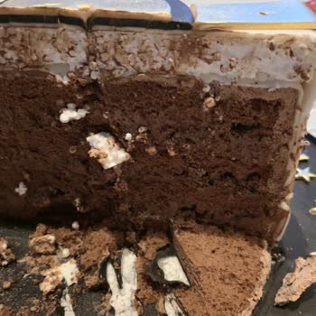 Ceviz Ağacı Pasta & Cafe Hem Ödediğim Ücret Hem De Bozulan Doğum Günü İçin Mağdur Oldum
