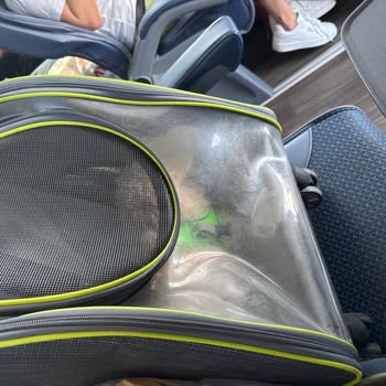 Köpeğime Bilet Aldım, Ancak Çantada Saklamamı İsteyen Personelin Saygısız Tutumu