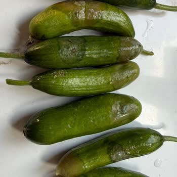 Mopaş Kozyatağı 2 Şubesinde Tekrarlanan Küflü Ve Hasarlı Gıda Gönderimleri