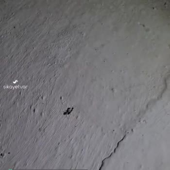 Etstur Otel Odası Örümcek Doluydu!
