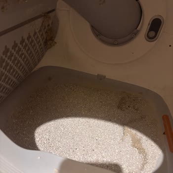 Temizlik Yapmayan, Gürültülü Ürün İçin Destek Yok Ve İade Talebi