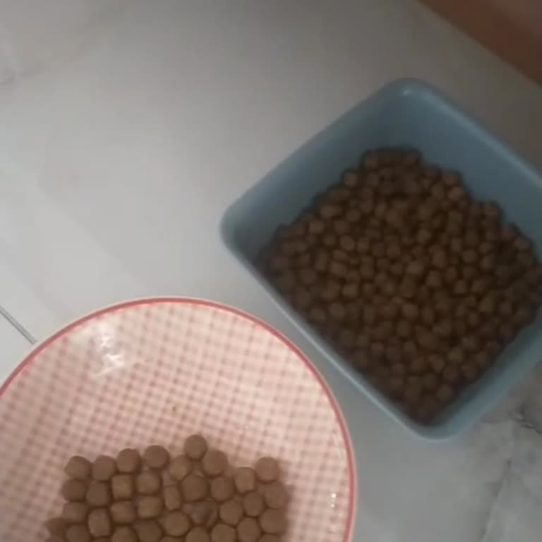 Maman Evde'den Gelen Sahte Hill's Kedi Maması İçin İade Talebi