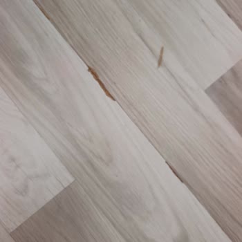 Neova Sigorta’da Su Patlaması Hasarı İncelemesi Gecikiyor Ve Yanıtsız
