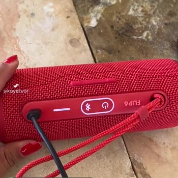 JBL Flip 6 Şarj Hatası