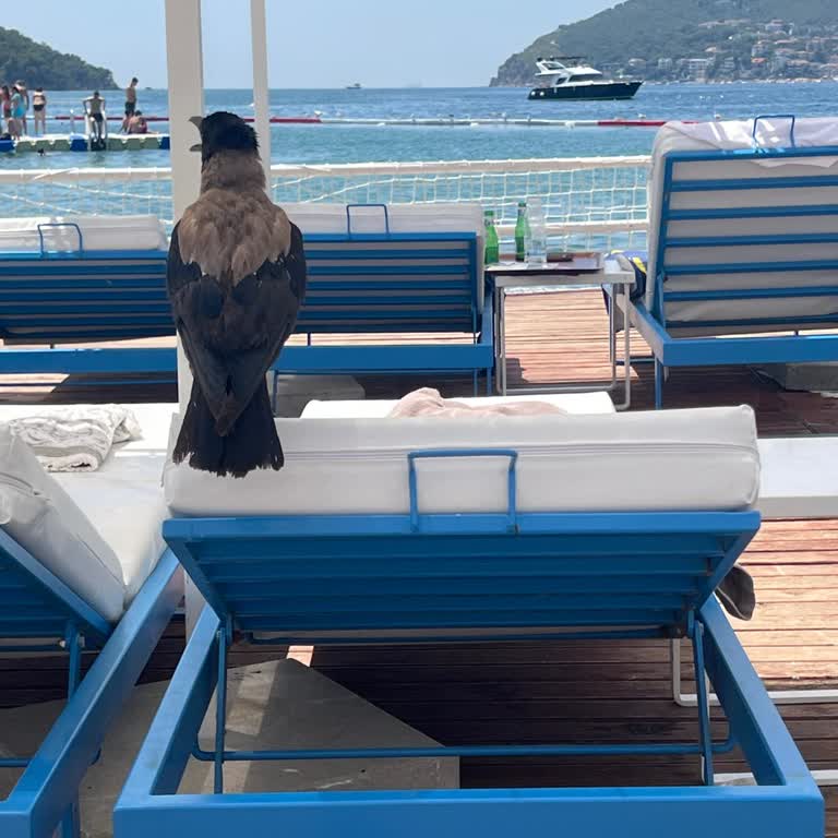 Aqua Park'ta Temizlik Ve Deniz Kalitesi Sorunları Ücretle Uyuşmuyor