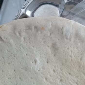 Küflü Donuk Pizza Teslimatı Ve Etiket Manipülasyonu