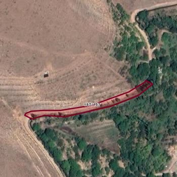 İzinli Konut İçin Elektrik Bağlantısı Reddi Ve Yol Aydınlatma Eksikliği