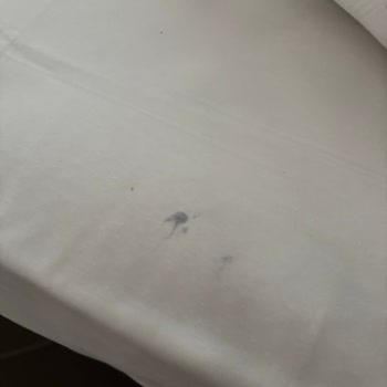 Oda Ve Restoran Hijyeni Ciddiyetle İhmal Edilmiş