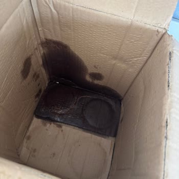Yurtiçi Kargo’da Zeytin Paketi Sızdırdı, Ücret İadesi Talep Ediyorum