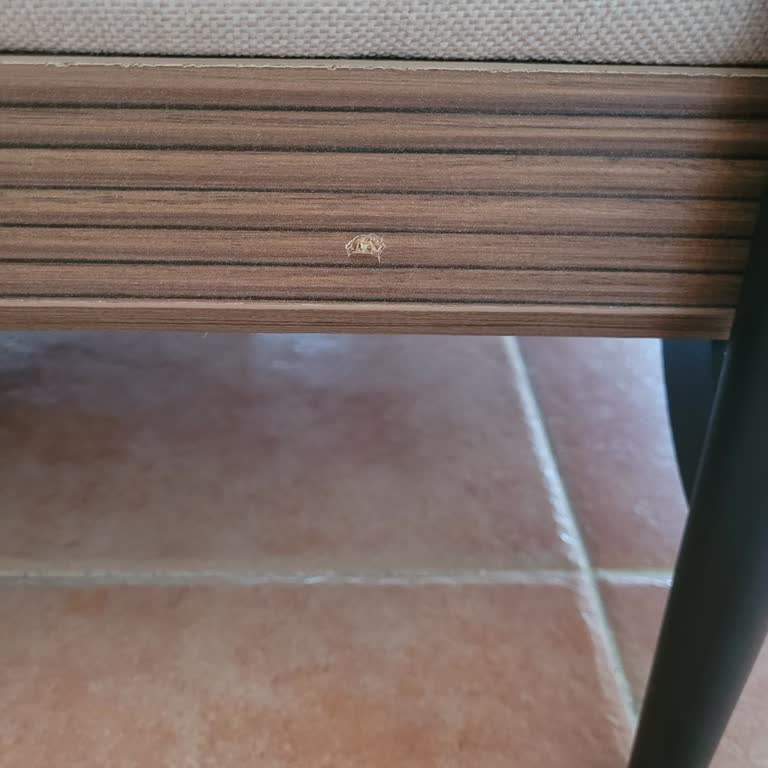 Montajda Kırılan Ahşap Parça Ve 45 Günlük Çözüm Bekleyişi
