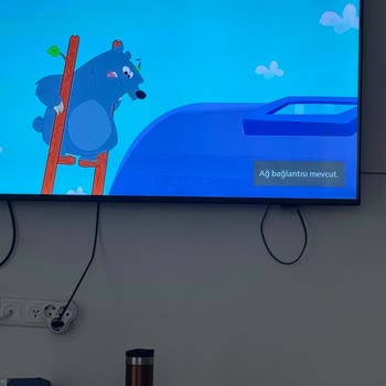 Philips TV'de Sürekli Kopan İnternet Ve Hantal Performans İçin Garanti Çözümü Talebi