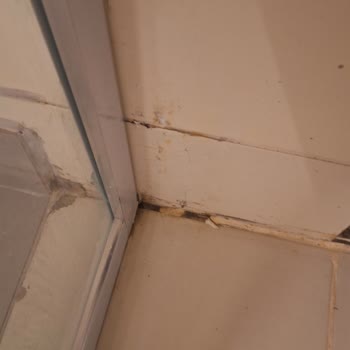 Jolly Tur Rezervasyonu: Yanıltıcı Puan, Kirli Otel Ve Cevapsız Destek