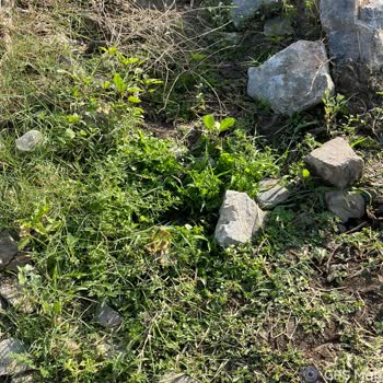 MUSKİ'den Tamamlandı Bildirimi, Gerçekleşmeyen Su Patlağı Onarımı