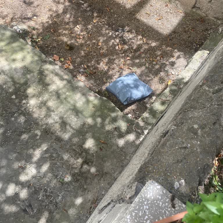 Kuryenin Saygısız Teslimatı: Yan Apartmana Bırakılan Kargo Ve Böcekli Poşet