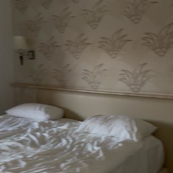 Alibey Resort’ta Yoğun Rutubet Ve Küf Kokusu, Ücretsiz Çözüm Sunulmadı