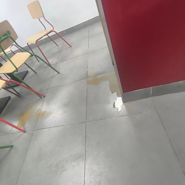 Zonguldak Burger King Şubesinde Hijyen Sorunu Ve Sert Dondurma Şikayeti