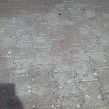 Kuryenet Bingöl Şubesindeki Dağıtım Elemanlarından Şikayetçiyim!