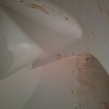 Kedi Tuvaleti Servisinde Yanlış Ve Kullanılmış Ürün Gönderimi, Hijyen Sorunu Ve İade Talebi