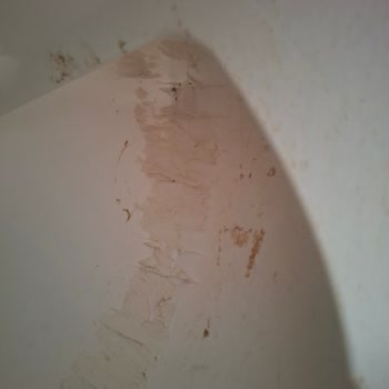 Kedi Tuvaleti Servisinde Yanlış Ve Kullanılmış Ürün Gönderimi, Hijyen Sorunu Ve İade Talebi