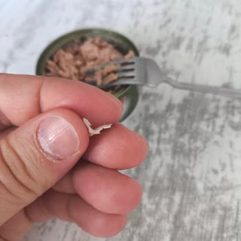 Tonla Ton Balığında Yabancı Cisim: Çocuğumun Sağlığına Tehdit
