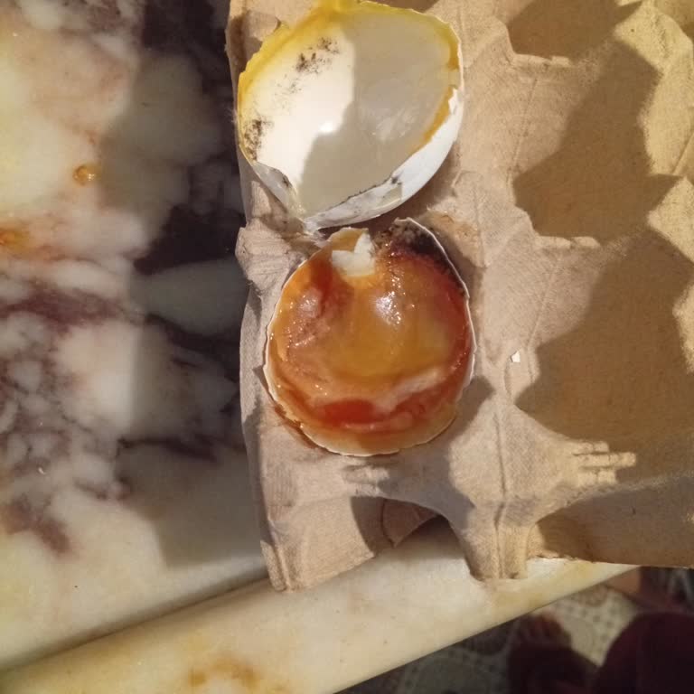 BİM'de Satılan Tarih Geçmiş Ve Kokmuş Yumurta Paketi