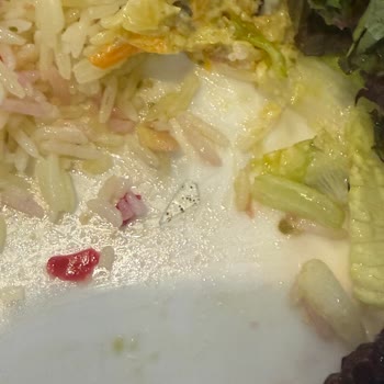 Kuee Kitchen Yemeğin İçinde Cam Parçası Çıktı